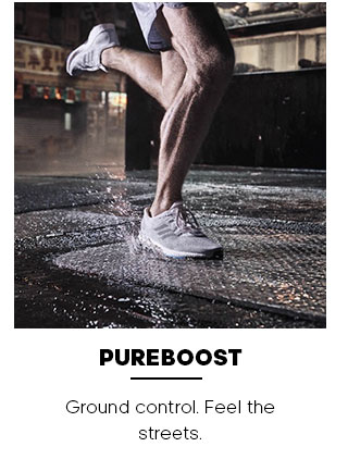 Pureboost